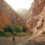 Exploring the World: Tips from My Travel Tribe